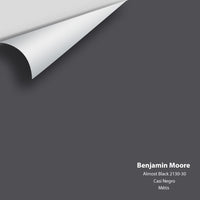 Benjamin Moore - Almost Black 2130-30 Colour Sample