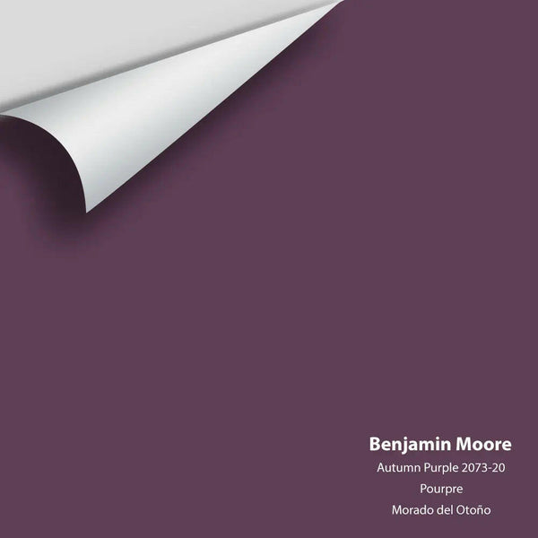 Big Paint Chip - Autumn Purple 2073-20 Benjamin Moore®