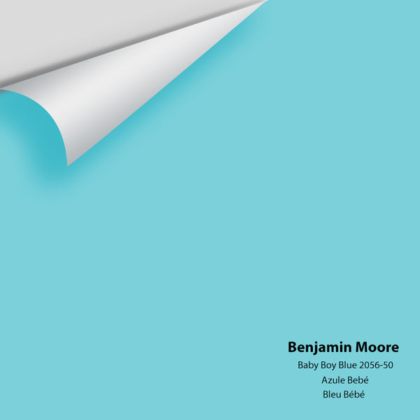 Benjamin Moore - Baby Boy Blue 2056-50 Colour Sample
