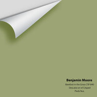 Benjamin Moore - Barefoot in the Grass CSP-840 Colour Sample