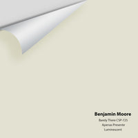 Benjamin Moore - Barely There CSP-725 Colour Sample