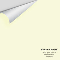 Benjamin Moore - Barely Yellow 2025-70 Colour Sample