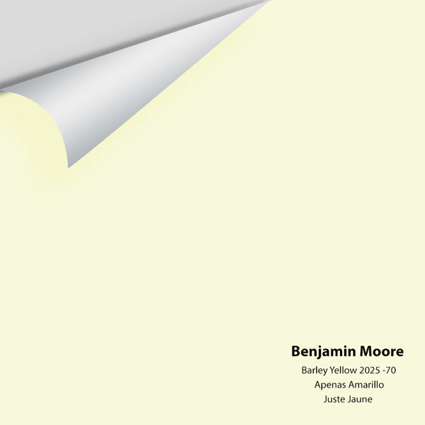 Benjamin Moore - Barely Yellow 2025-70 Colour Sample