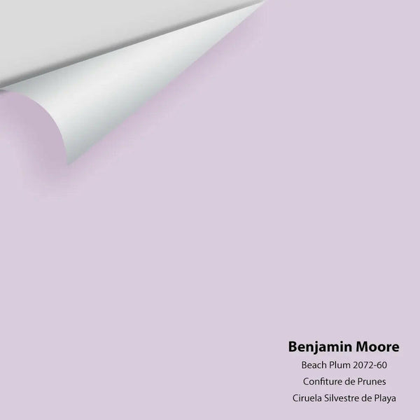 Big Paint Chip - Beach Plum 2072-60 Benjamin Moore®