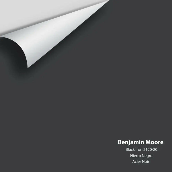 Big Paint Chip - Black Iron 2120-20 Benjamin Moore®