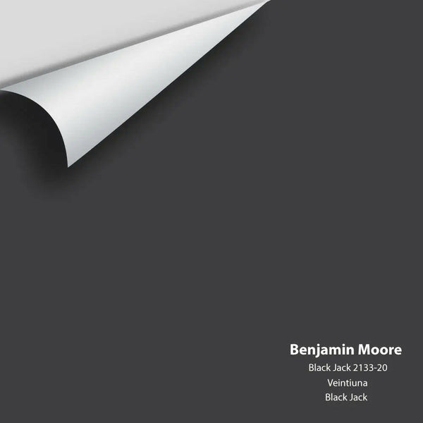 Big Paint Chip - Black Jack 2133-20 Benjamin Moore®