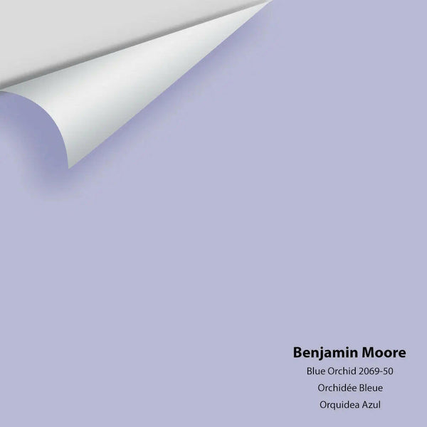 Big Paint Chip - Blue Orchid 2069-50 Benjamin Moore®