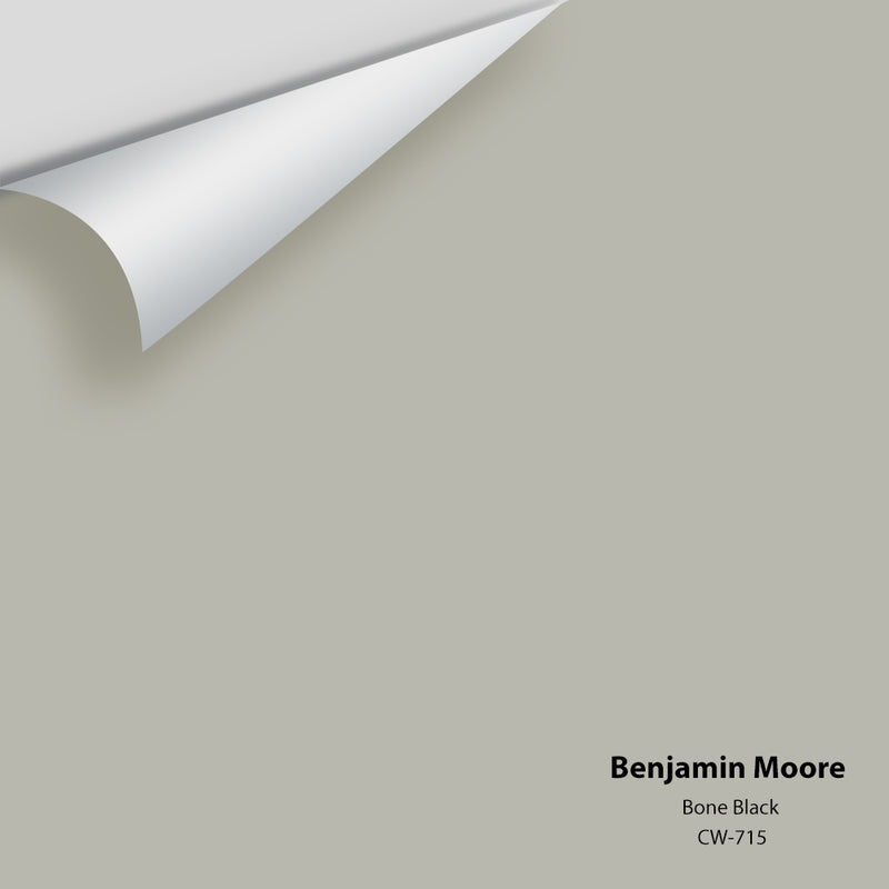 Benjamin Moore - Bone Black CW - 715 Colour Sample