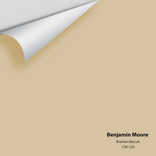 Benjamin Moore - Bracken Biscuit CW-120 Colour Sample