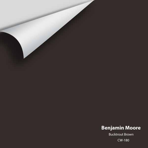 Benjamin Moore - Bucktrout Brown CW-180 Colour Sample