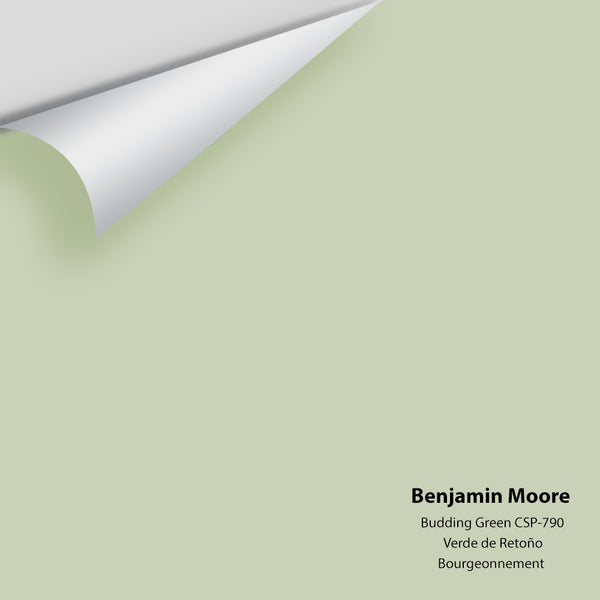 Benjamin Moore - Budding Green CSP-790 Colour Sample