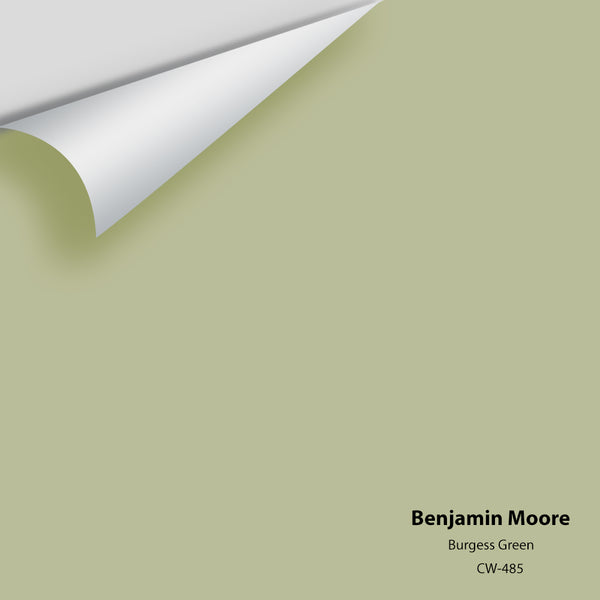 Benjamin Moore - Burgess Green CW-485 Colour Sample