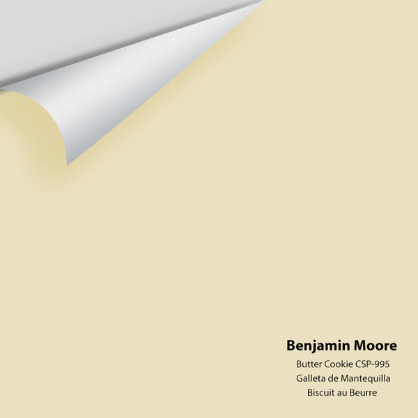 Benjamin Moore - Butter Cookie CSP-995 Colour Sample