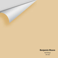 Benjamin Moore - Byrd Beige CW-365 Colour Sample