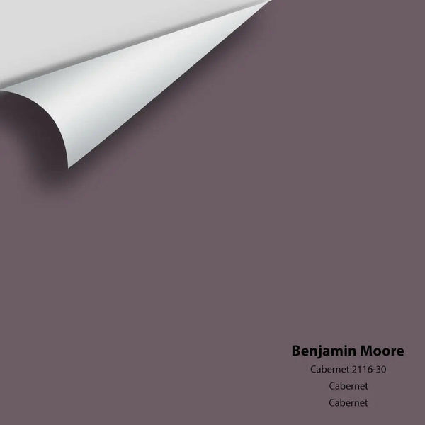 Big Paint Chip - Cabernet 2116-30 Benjamin Moore®