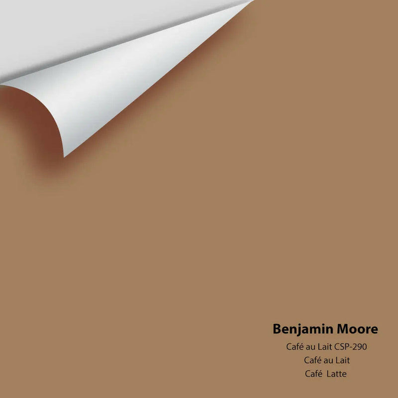 Big Paint Chip - Café au Lait CSP-290