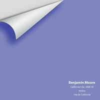 Big Paint Chip - California Lilac 2068-40 Benjamin Moore®