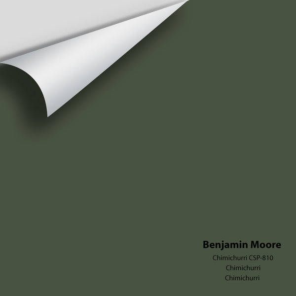Benjamin Moore - Chimichurri CSP-810 Colour Sample