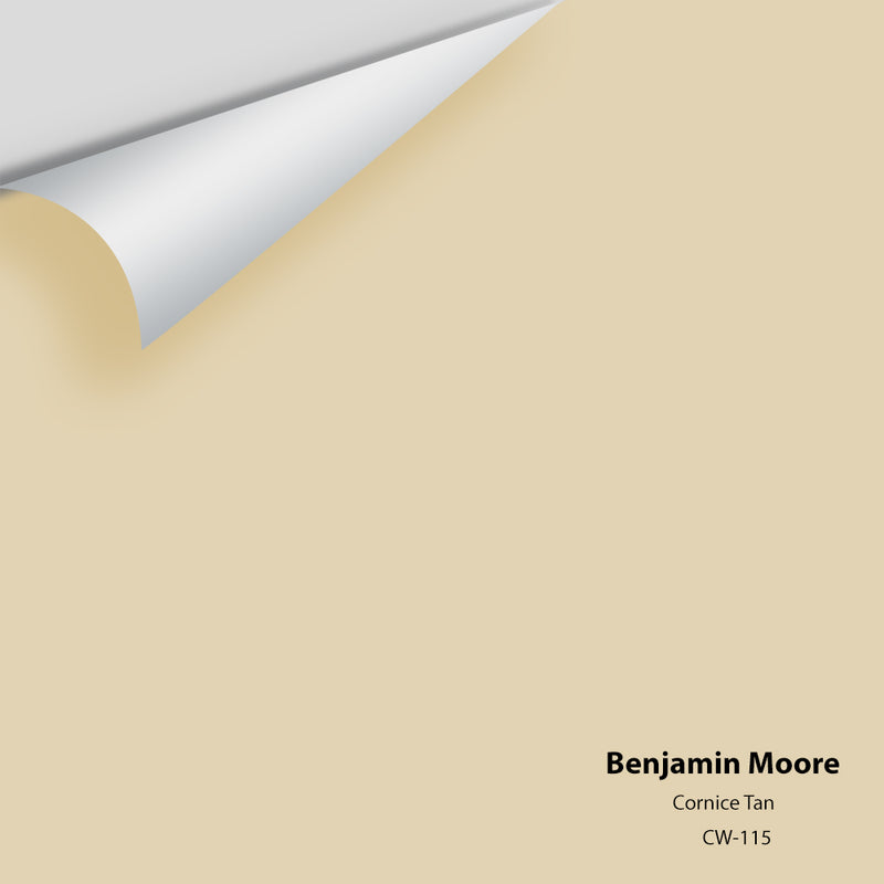 Benjamin Moore - Cornice Tan CW-115 Colour Sample
