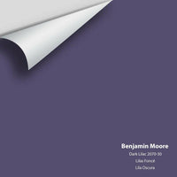 Big Paint Chip - Dark Lilac 2070-30 Benjamin Moore®