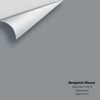 Benjamin Moore - Deep Silver 2124-30 Colour Sample