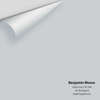 Benjamin Moore - Early Frost CSP-590 Colour Sample