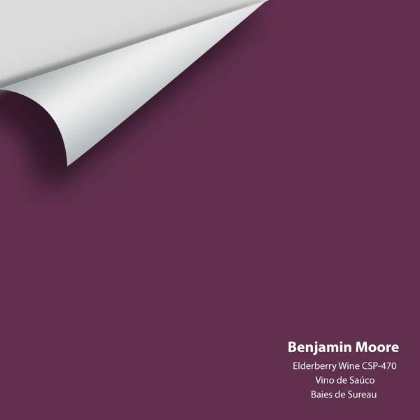 Big Paint Chip - Elderberry Wine CSP-470 Benjamin Moore®