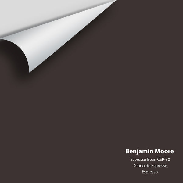Benjamin Moore - Espresso Bean CSP-30 Colour Sample
