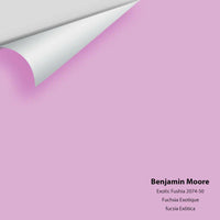 Big Paint Chip - Exotic Fuchsia 2074-50 Benjamin Moore®