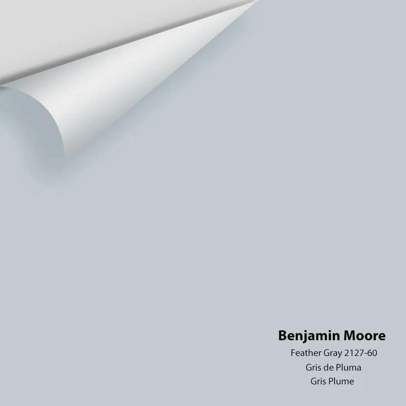 Benjamin Moore - Feather Gray 2127-60 Colour Sample