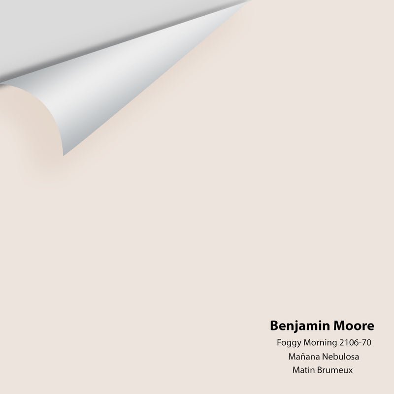 Benjamin Moore - Foggy Morning 2106-70 Colour Sample