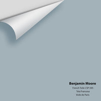 Benjamin Moore - French Toile CSP-595 Colour Sample