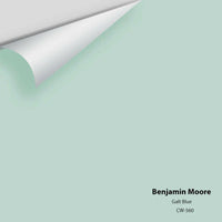 Benjamin Moore - Échantillon de couleur Abalone 2108-60