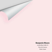 Benjamin Moore - Gentle Blush 2084-70 Colour Sample