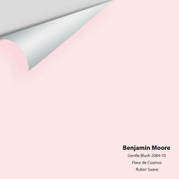 Benjamin Moore - Gentle Blush 2084-70 Colour Sample