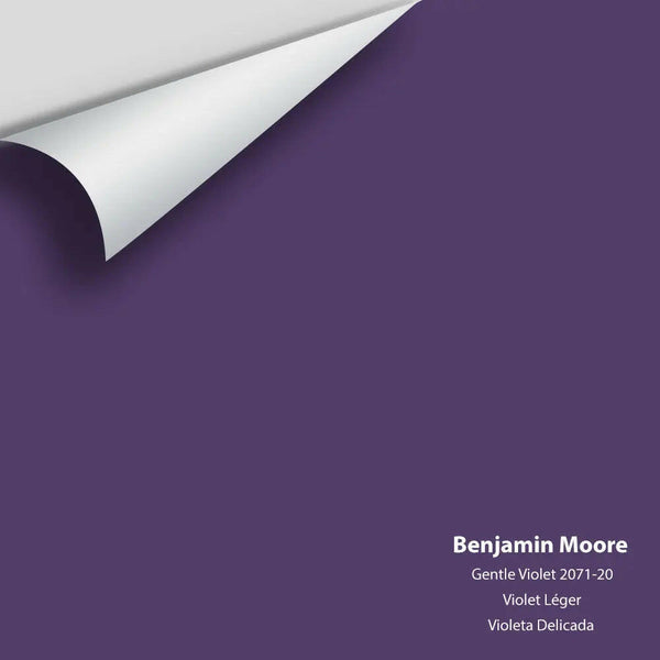 Big Paint Chip - Gentle Violet 2071-20 Benjamin Moore®