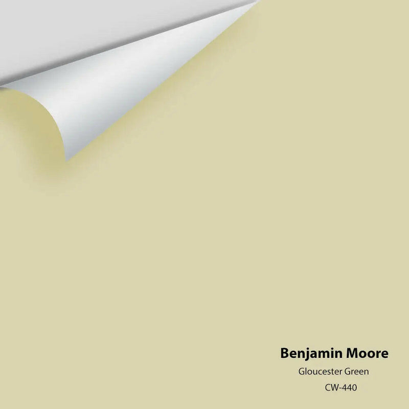 Benjamin Moore - Échantillon de couleur Abalone 2108-60