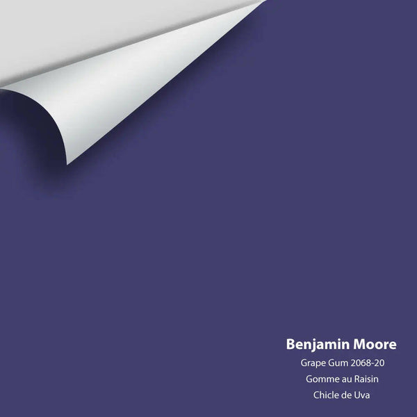 Big Paint Chip - Grape Gum 2068-20 Benjamin Moore®