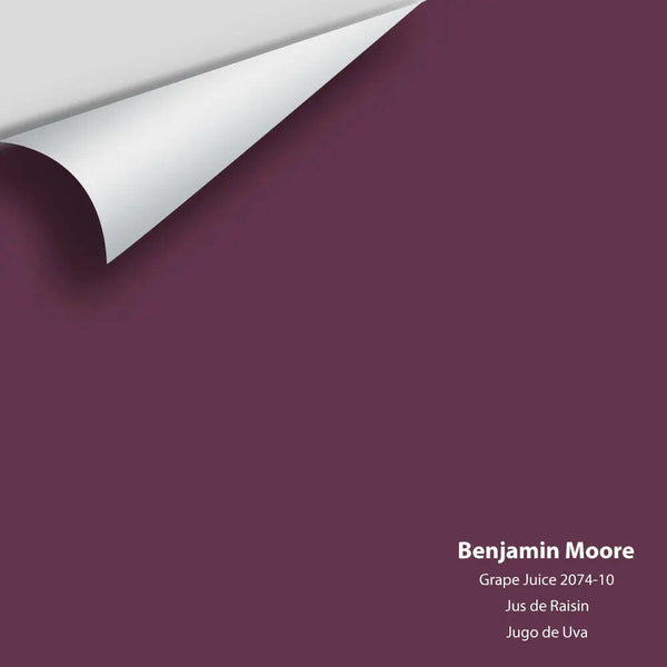 Big Paint Chip - Grape Juice 2074-10 Benjamin Moore®