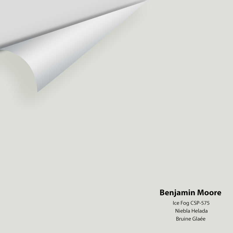 Benjamin Moore - Ice Fog CSP-575 Colour Sample