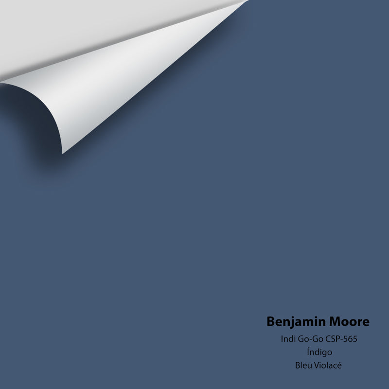 Benjamin Moore - Indi Go-Go CSP-565 Colour Sample