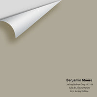 Benjamin Moore - Jockey Hollow Gray HC-108 Colour Sample
