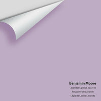 Big Paint Chip - Lavender Lipstick 2072-50 Benjamin Moore®