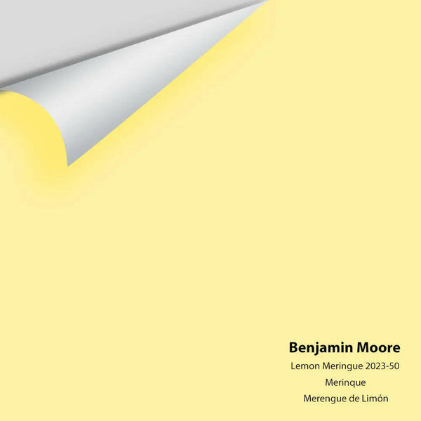 Big Paint Chip - Lemon Meringue 2023-50