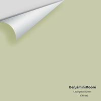 Benjamin Moore - Levingston Green CW-490 Colour Sample