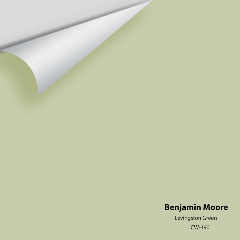 Benjamin Moore - Levingston Green CW-490 Colour Sample