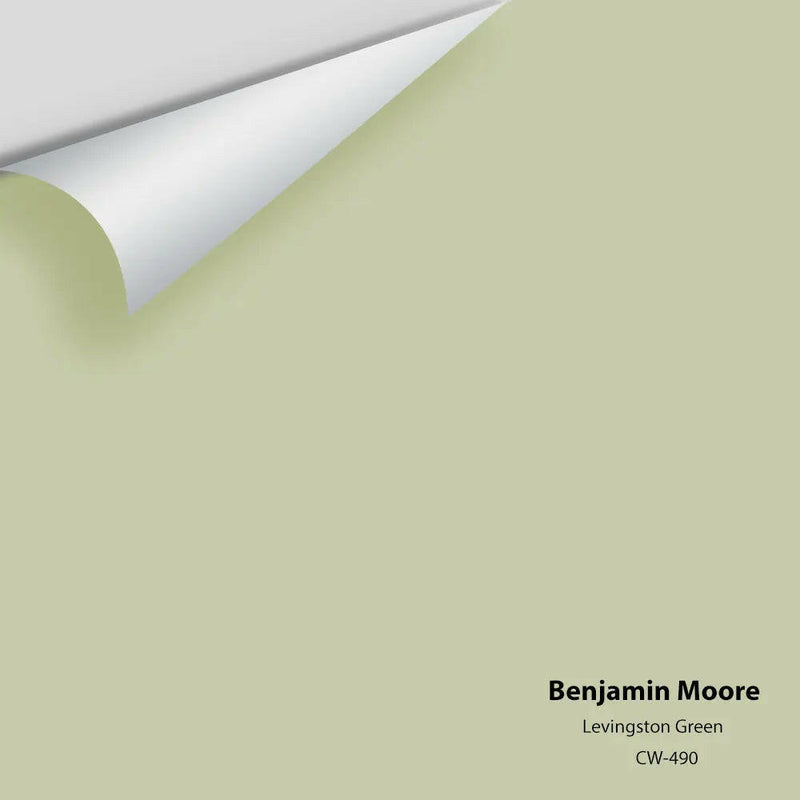 Benjamin Moore - Échantillon de couleur Abalone 2108-60