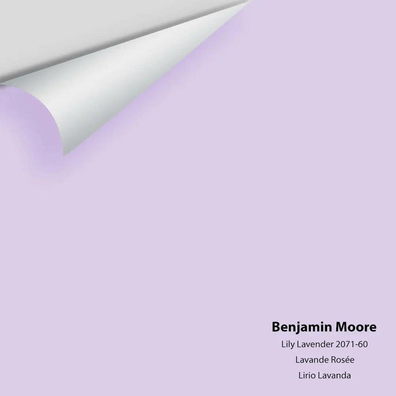 Big Paint Chip - Lily Lavender 2071-60 Benjamin Moore®