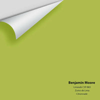 Benjamin Moore - Limeade CSP-865 Colour Sample