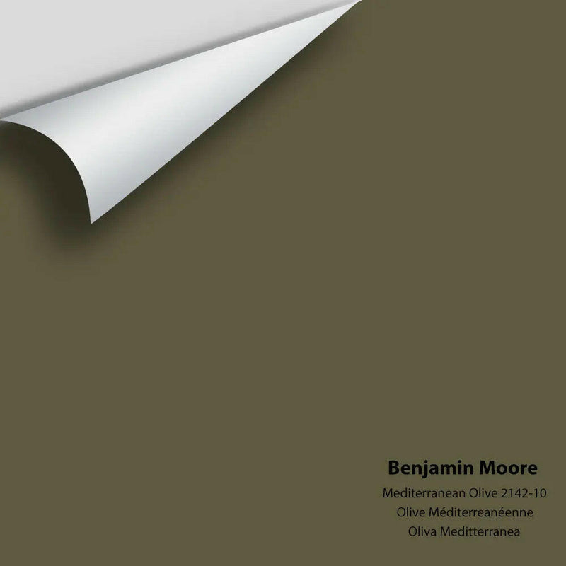 Big Paint Chip - Mediterranean Olive 2142-10